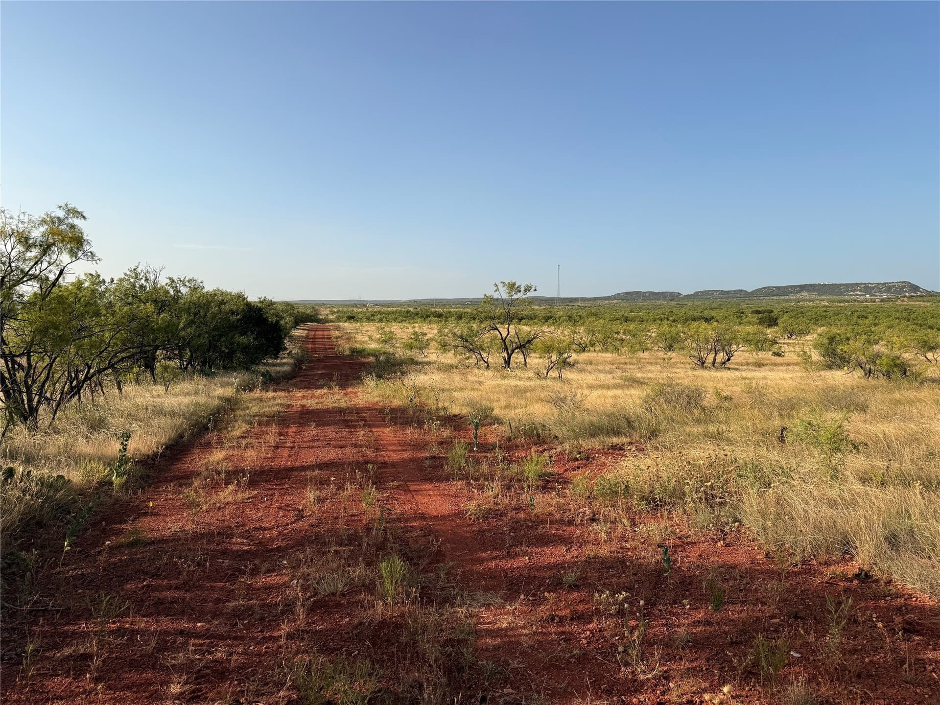 105 acres in Taylor County - photo 8