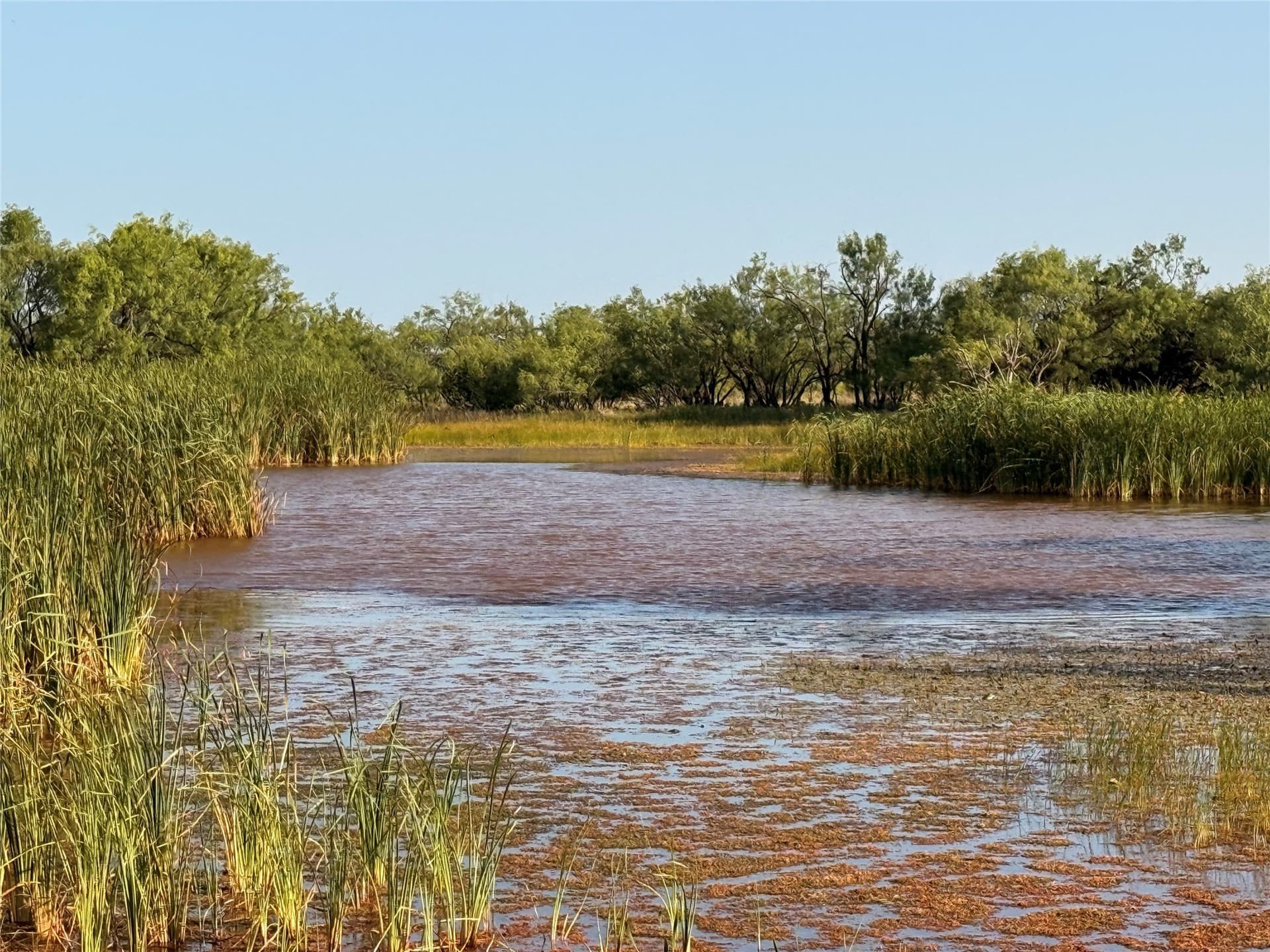 105 acres in Taylor County - photo 12