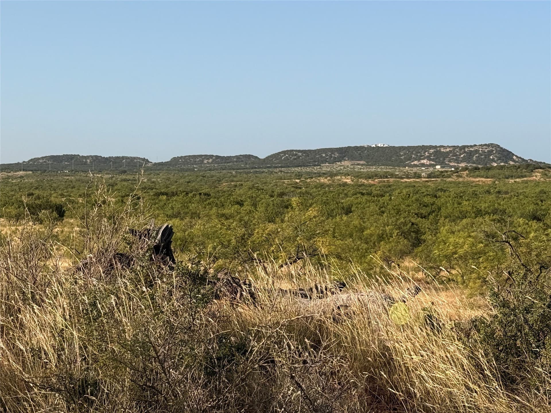 105 acres in Taylor County - photo 3