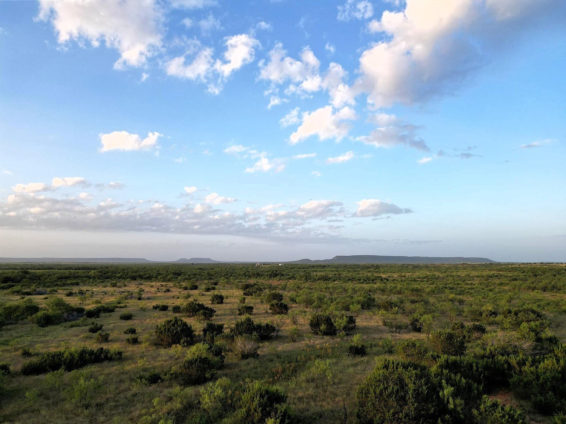 105 acres in Taylor County - photo 10