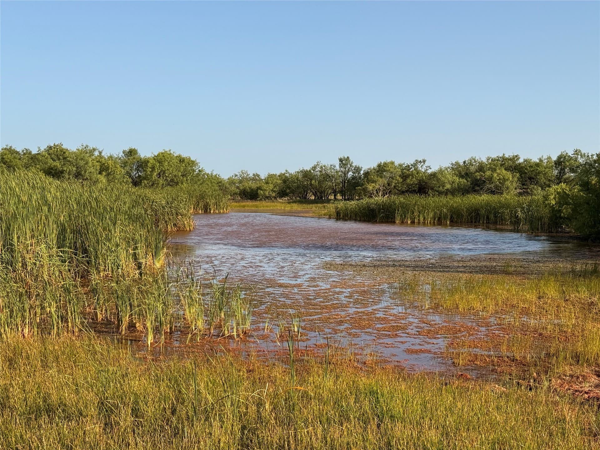 105 acres in Taylor County - photo 4