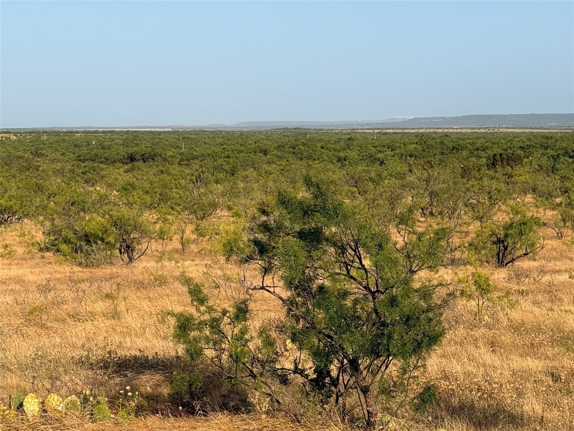 105 acres in Taylor County - photo 5