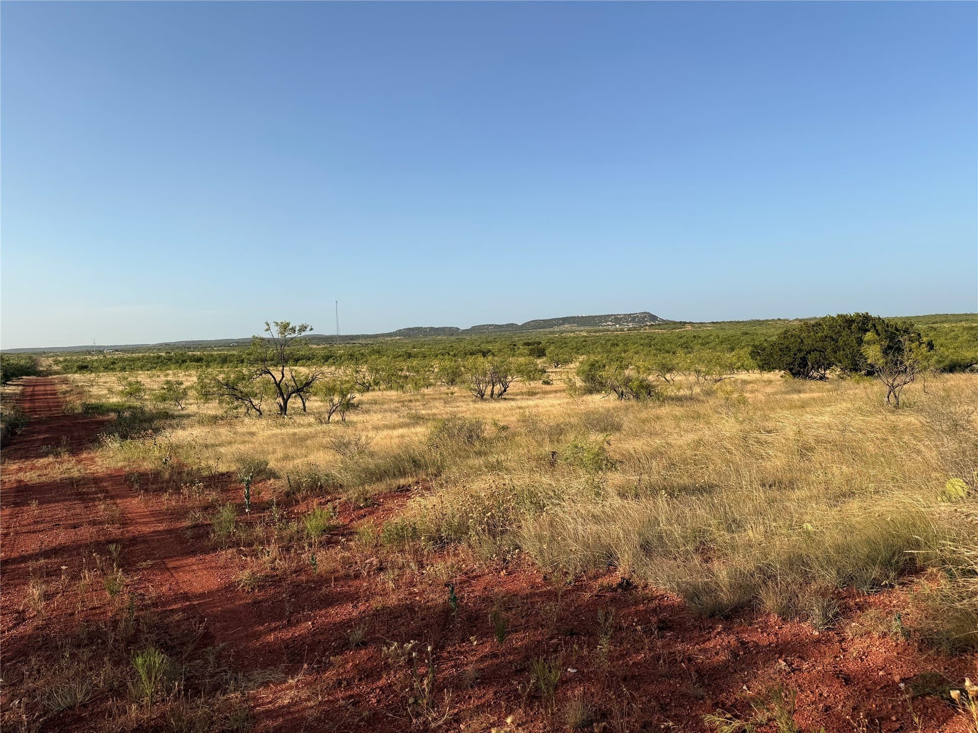 105 acres in Taylor County - photo 7