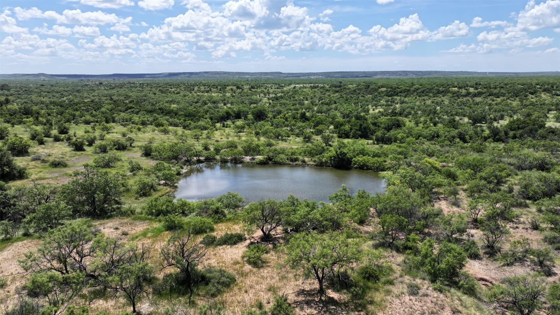 403 acres in Shackelford County - photo 9