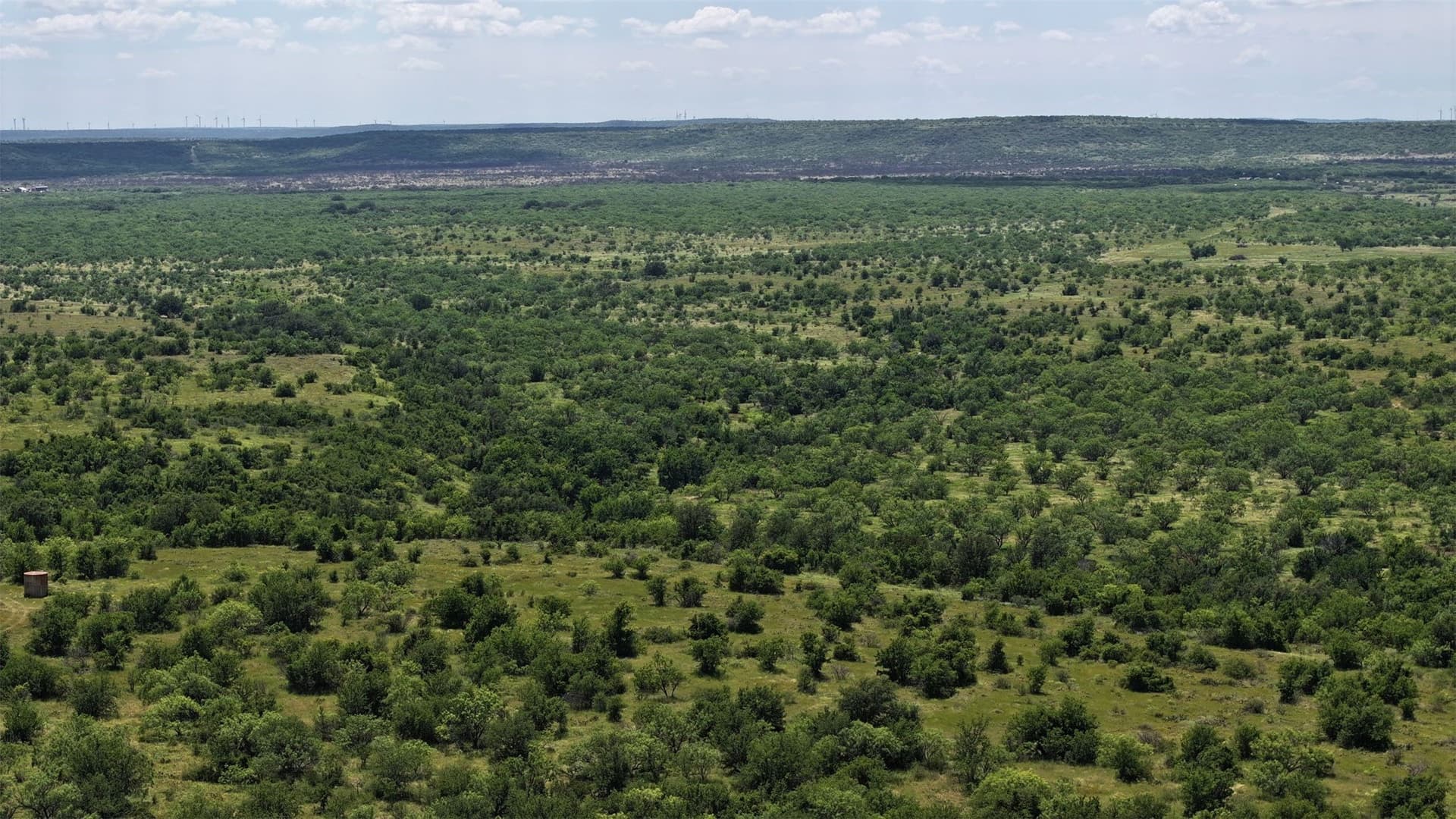 403 acres in Shackelford County - photo 11