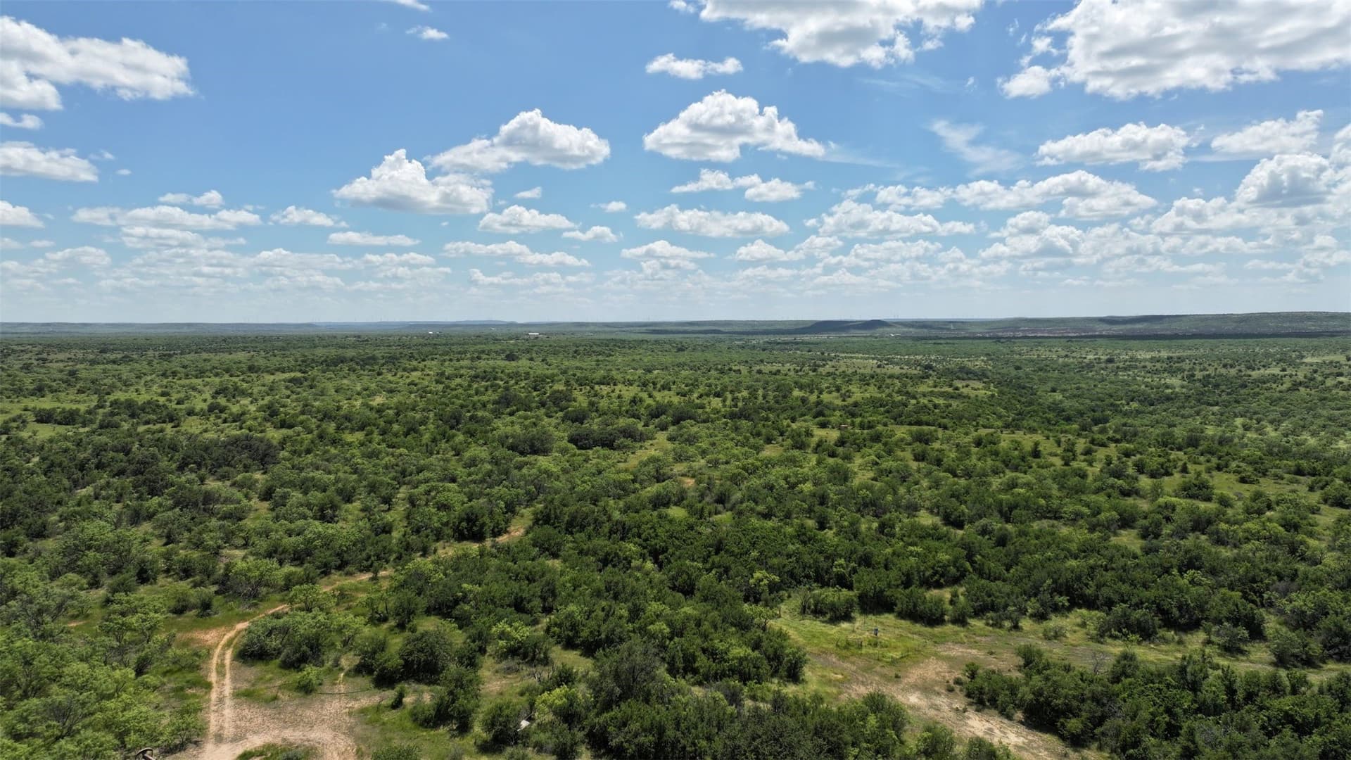 403 acres in Shackelford County - photo 5