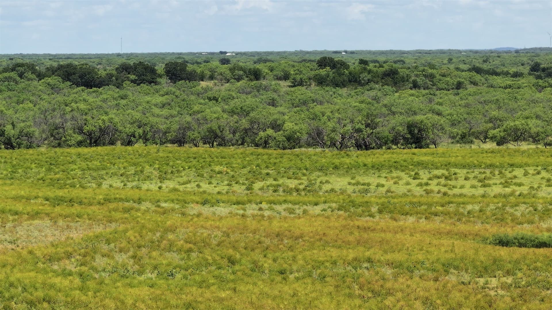 403 acres in Shackelford County - photo 13
