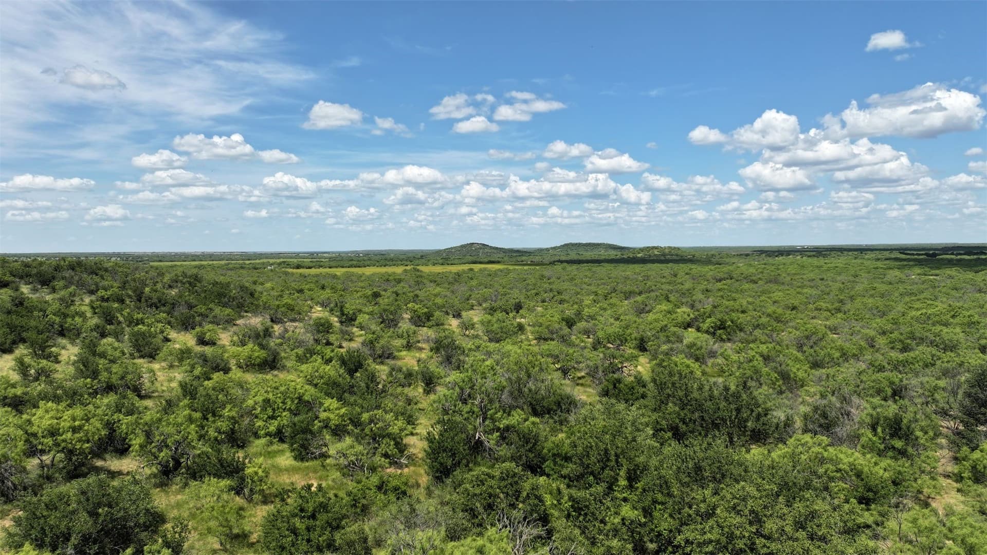 403 acres in Shackelford County - photo 4