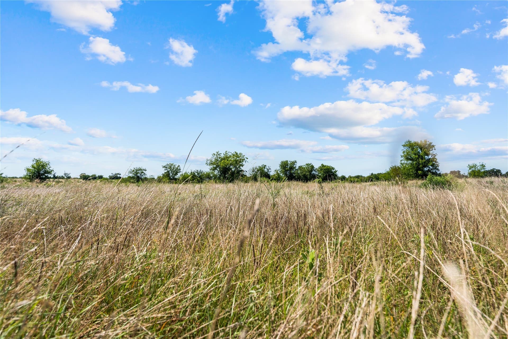 3.53 acres in Hill County - photo 3