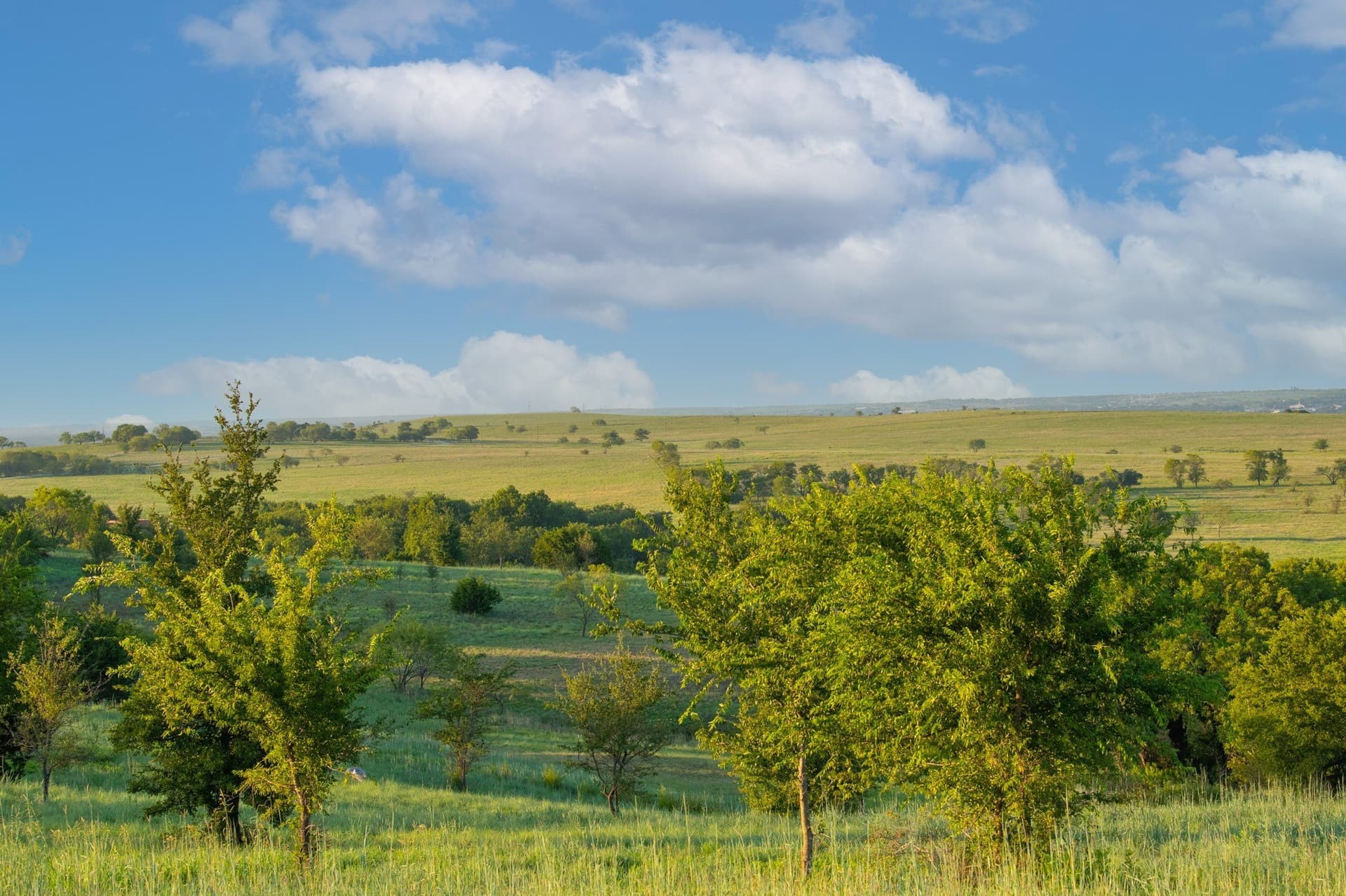 2.07 acres in Parker County - photo 8