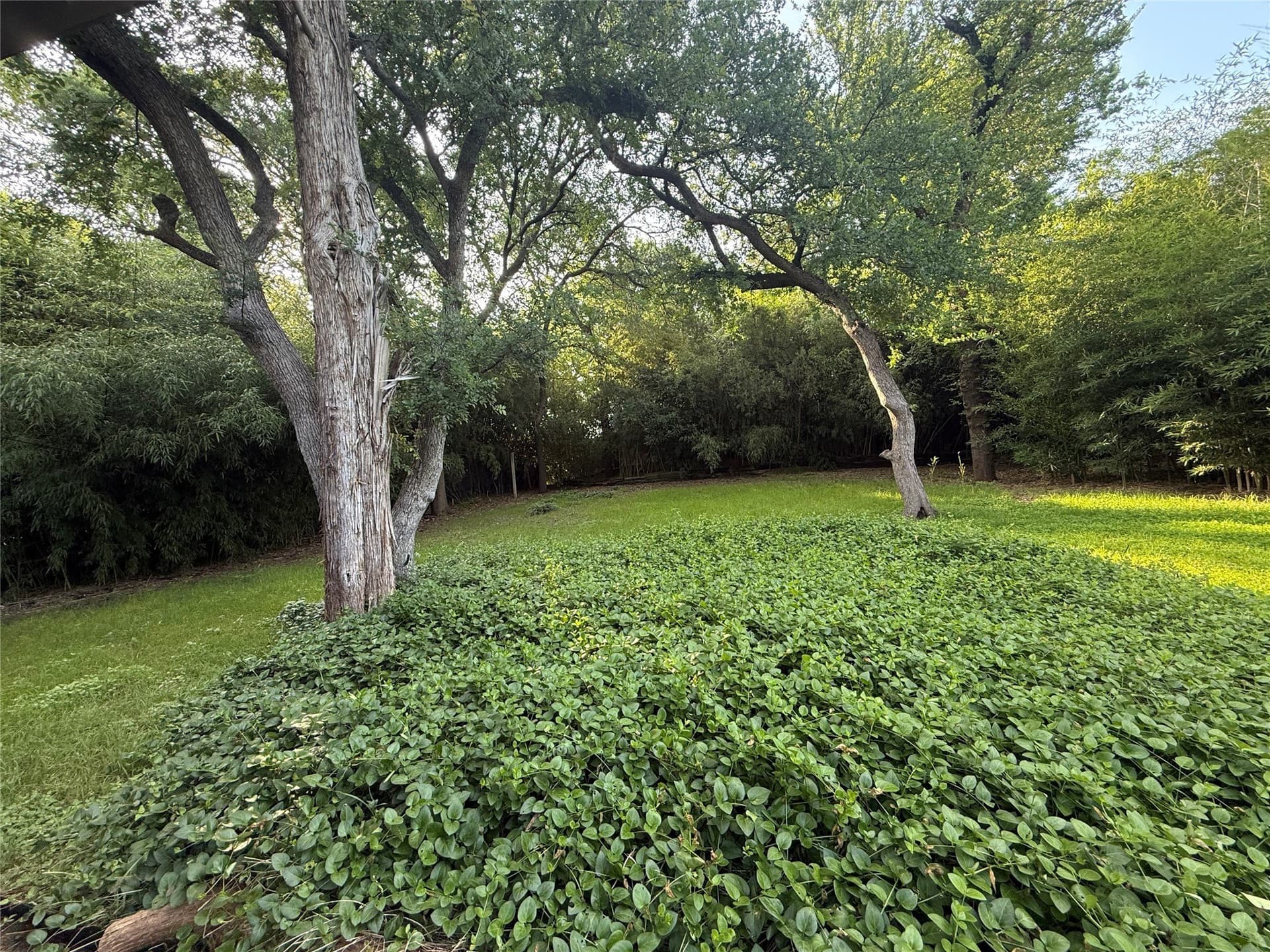 0.24 acres in Dallas County gallery image 3