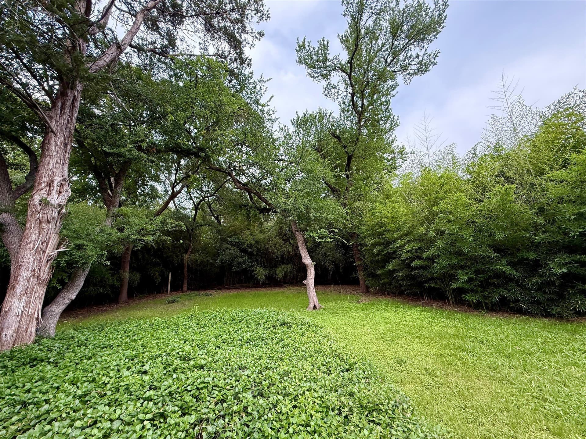 0.24 acres in Dallas County gallery image 2