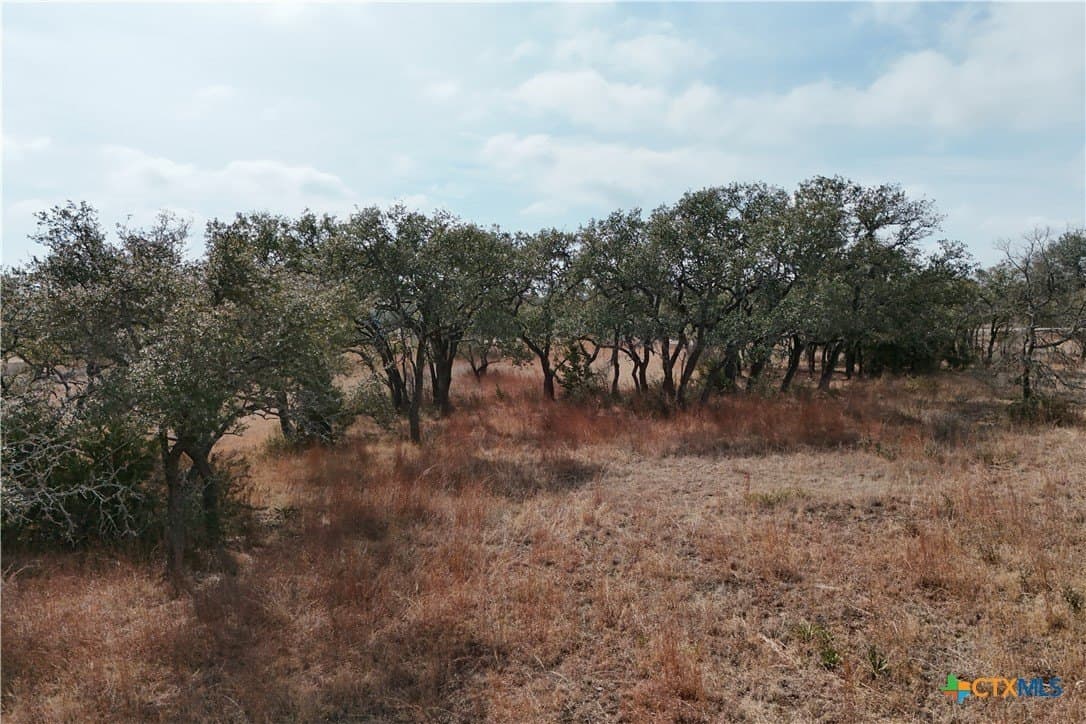 27.36 acres in Burnet County - photo 9