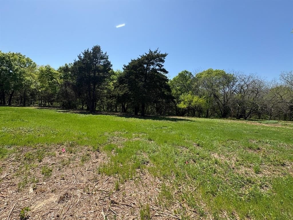 3.69 acres in Grayson County gallery image 2