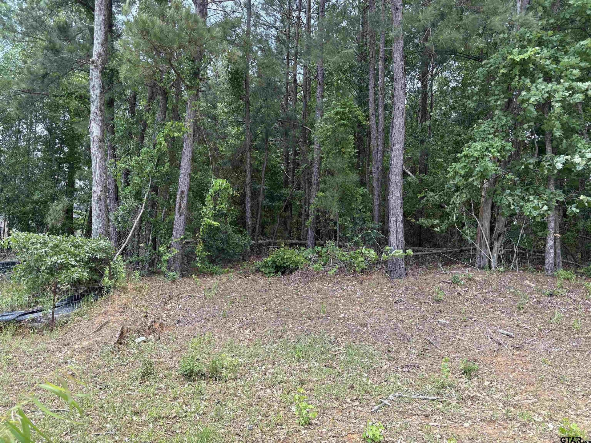 0.4 acres in Smith County featured view