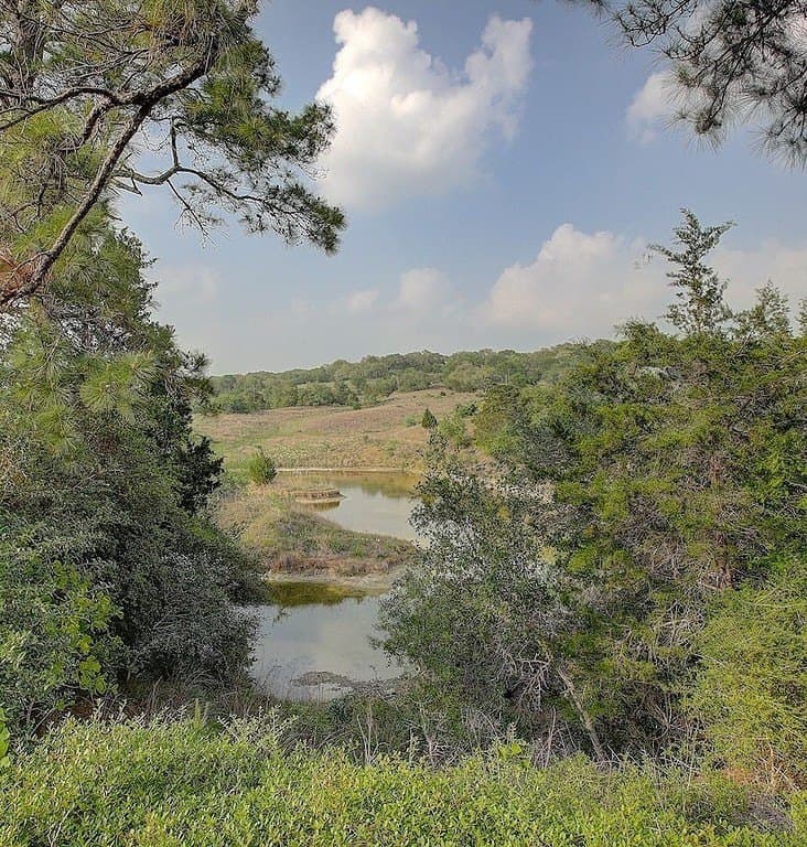 19.06 acres in Fayette County gallery image 2