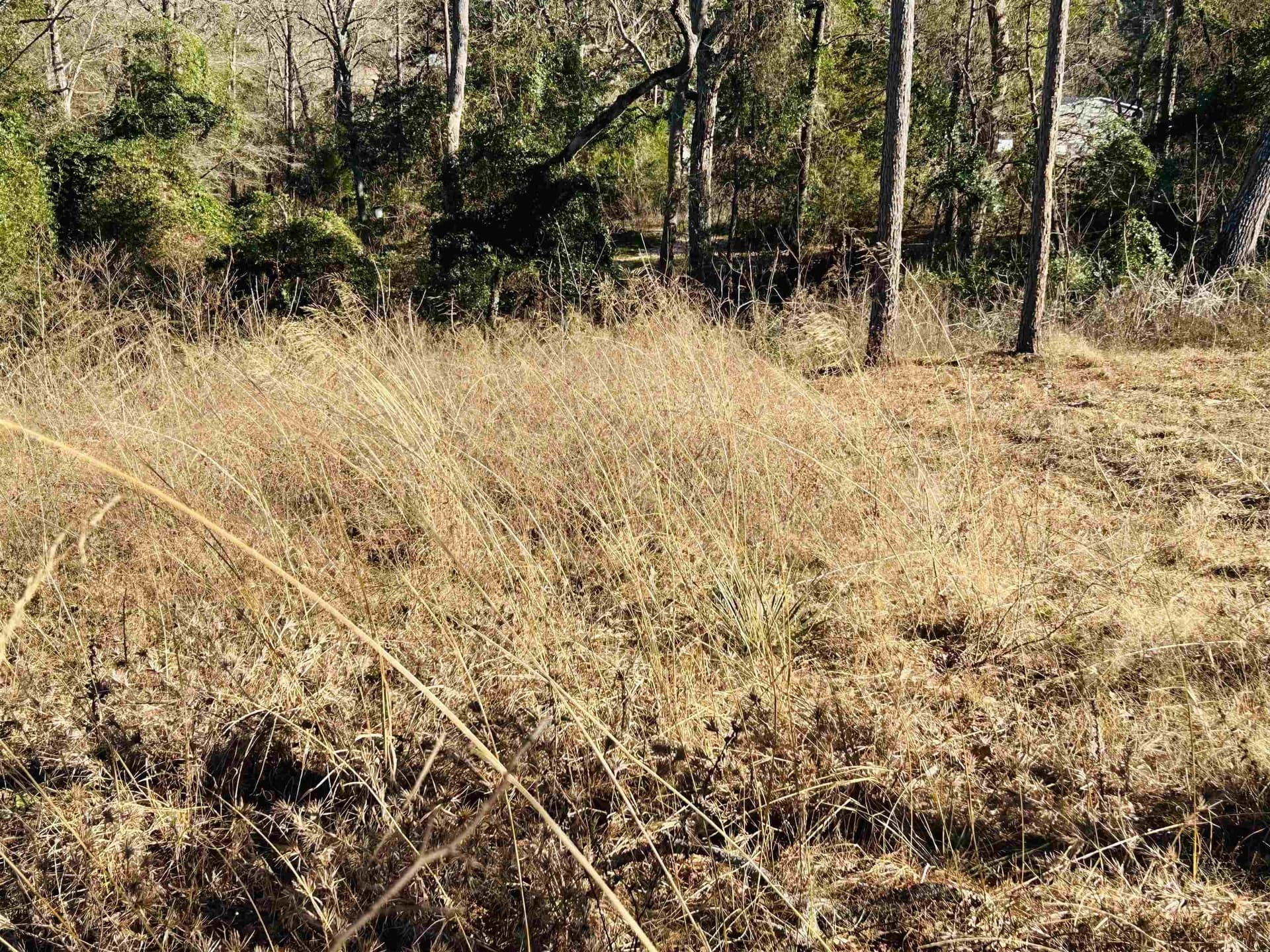 0.88 acres in Texas County - photo 3