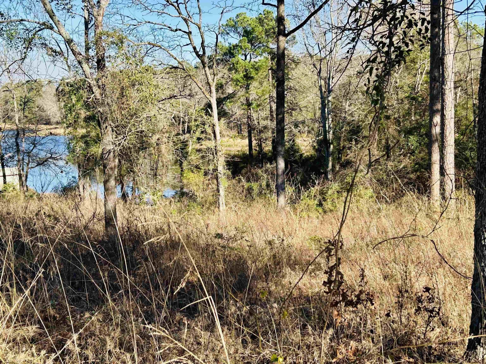 0.88 acres in Texas County - photo 2