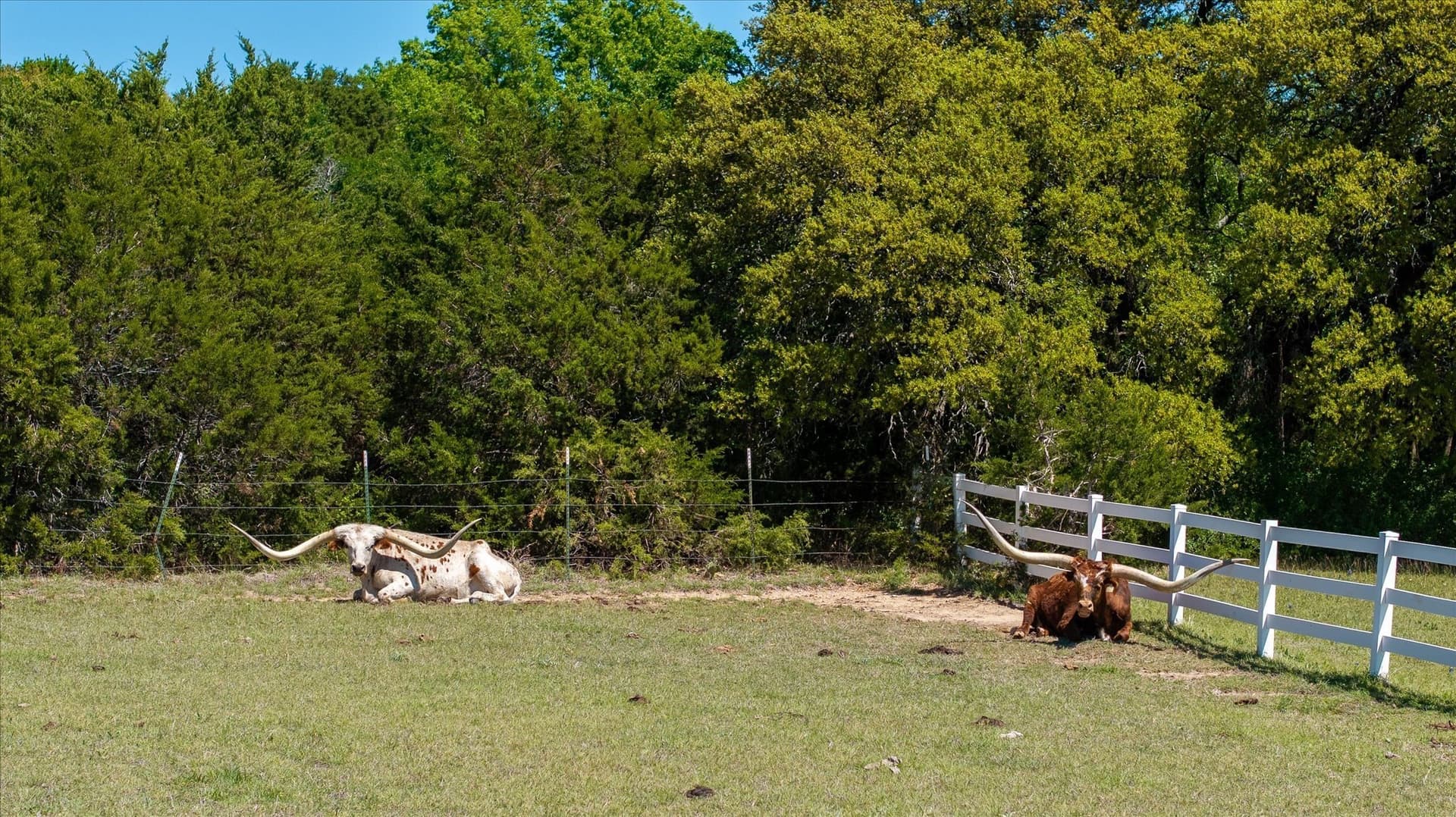 5.58 acres in Parker County - photo 8
