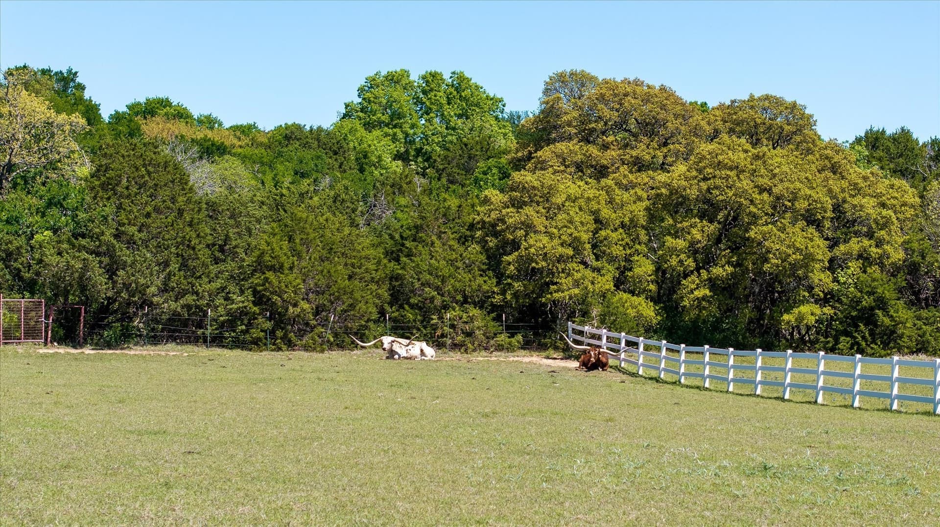 5.58 acres in Parker County - photo 7