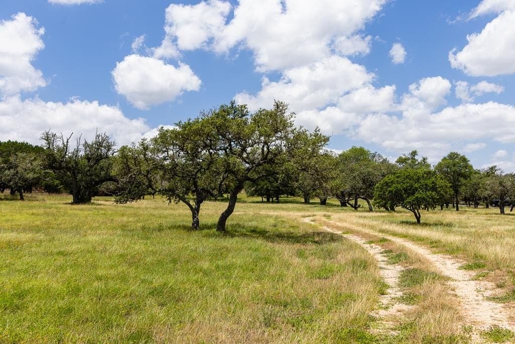 10 acres in Kerr County - photo 45