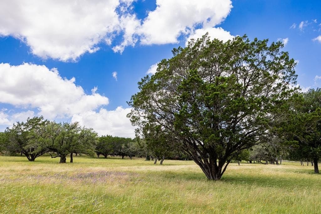 10 acres in Kerr County - photo 23