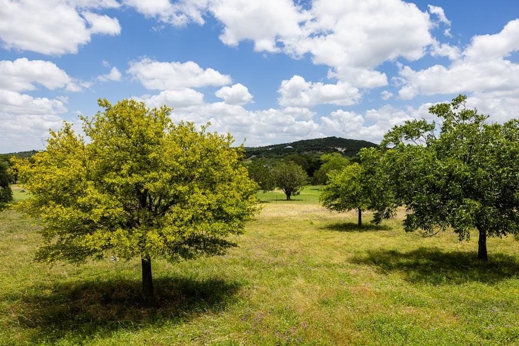 10 acres in Kerr County gallery image 4