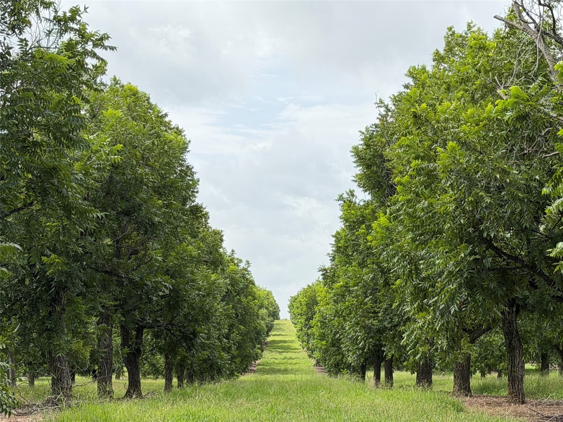 73.82 acres in Comanche County - photo 8