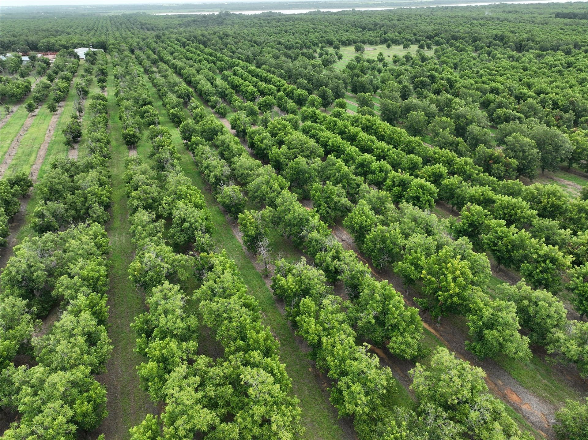73.82 acres in Comanche County gallery image 4