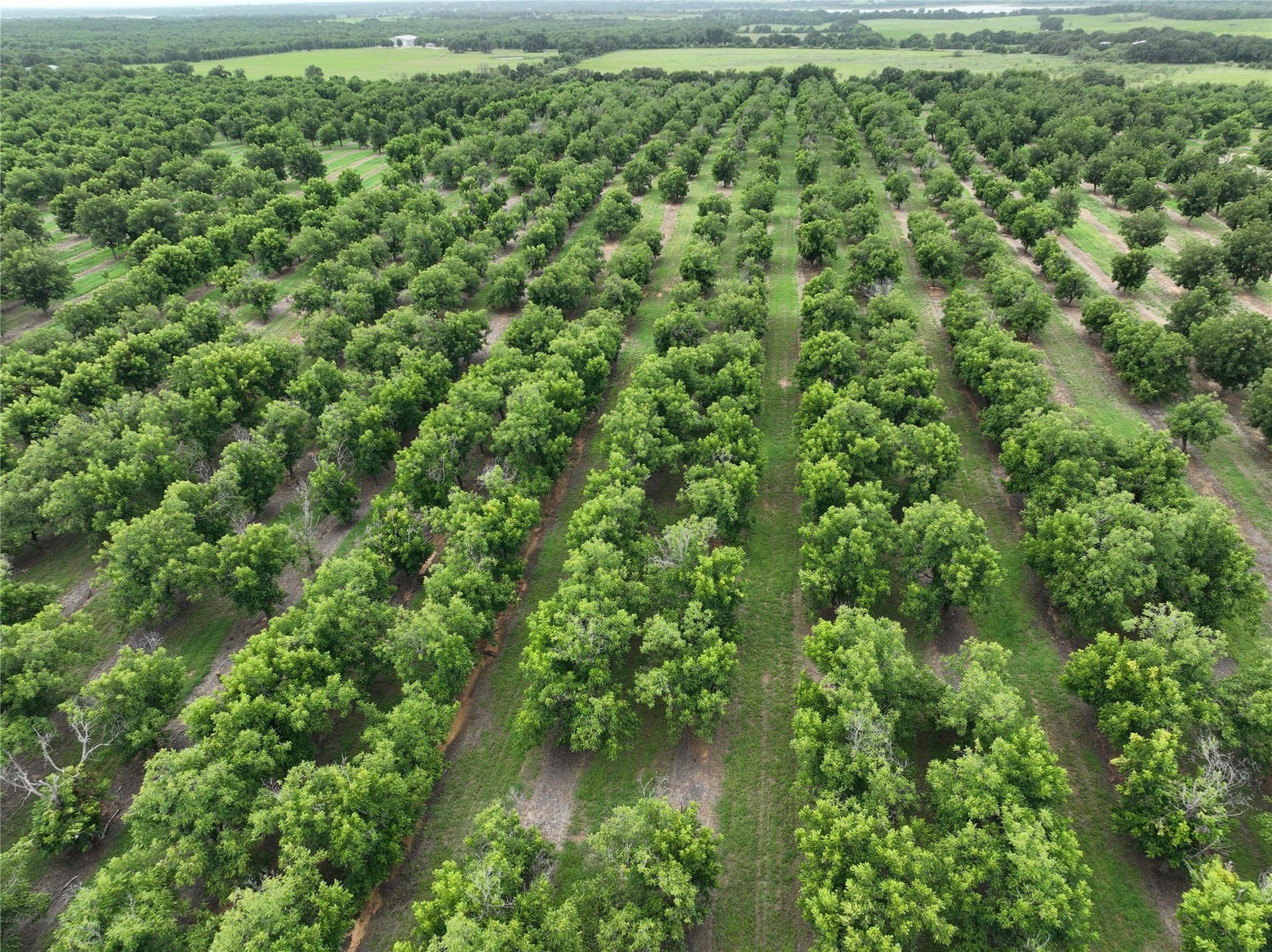 73.82 acres in Comanche County gallery image 3