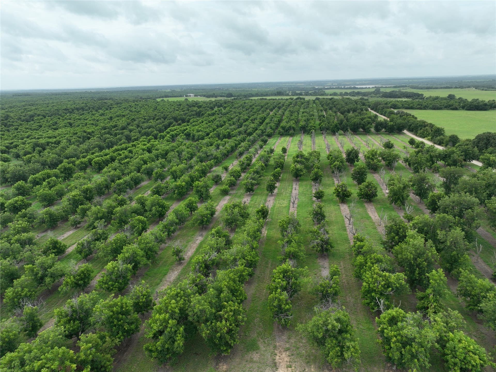 73.82 acres in Comanche County gallery image 2