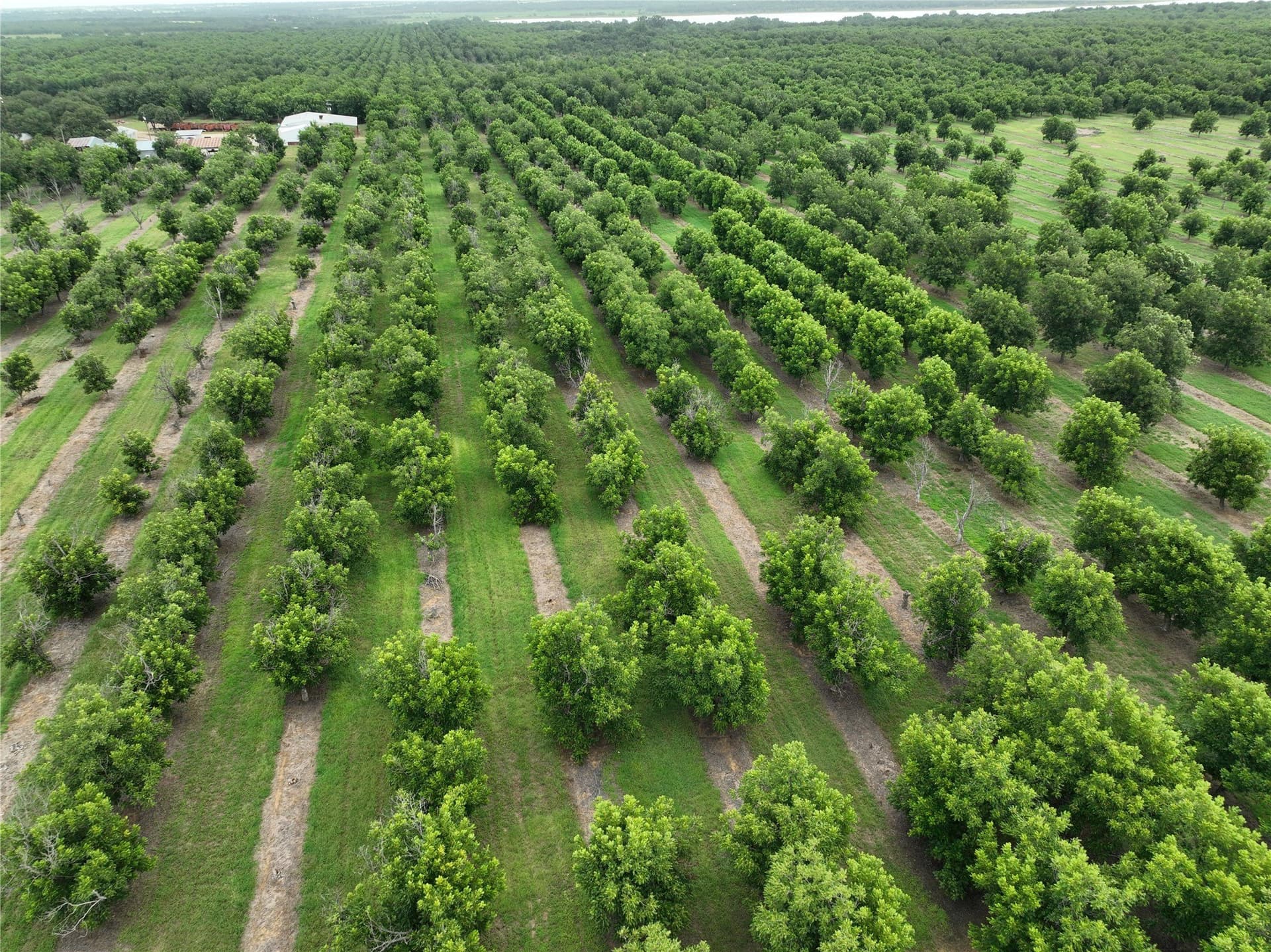 73.82 acres in Comanche County featured view