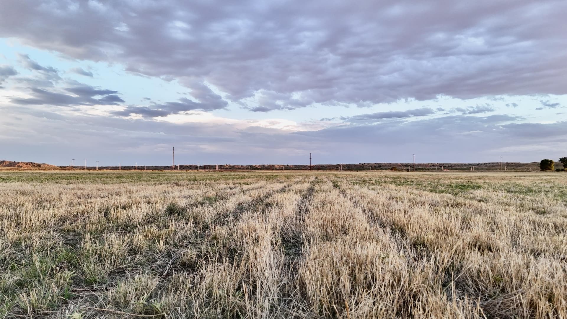 182.37 acres in Oldham County - photo 15