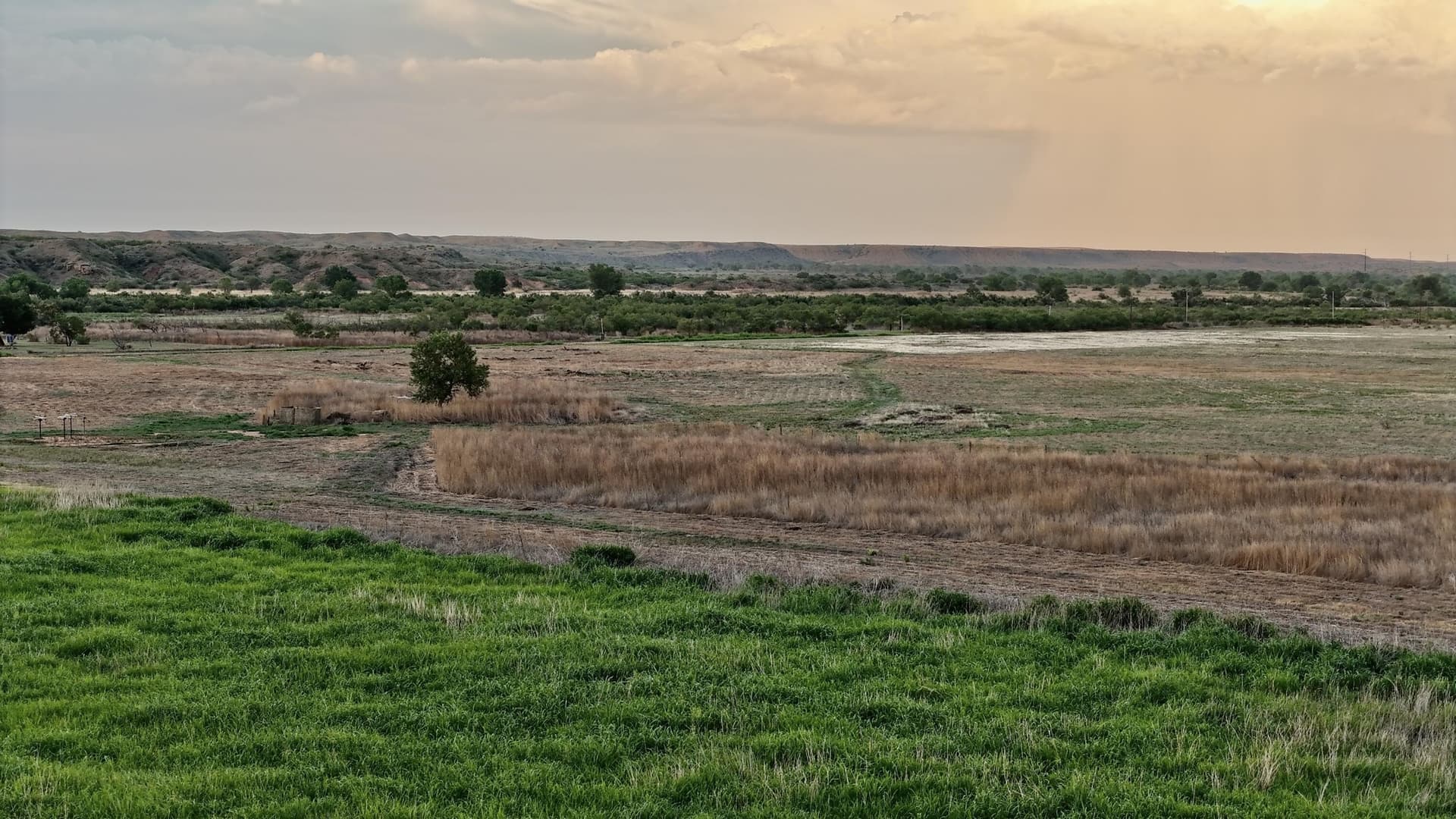 182.37 acres in Oldham County gallery image 2