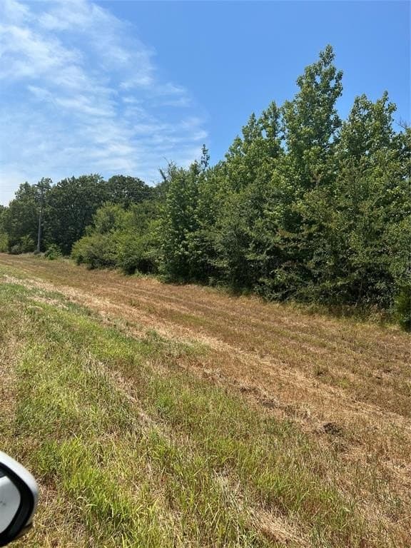 15 acres in Camp County gallery image 2