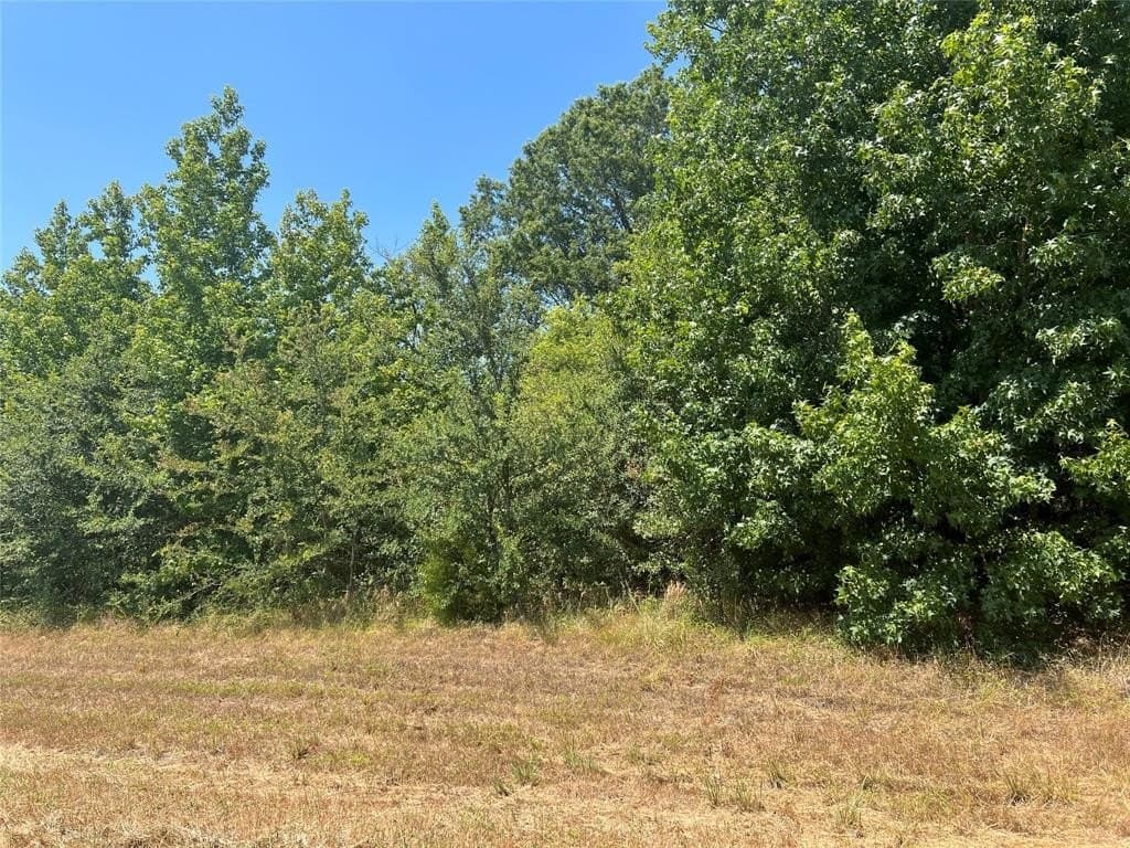 15 acres in Camp County