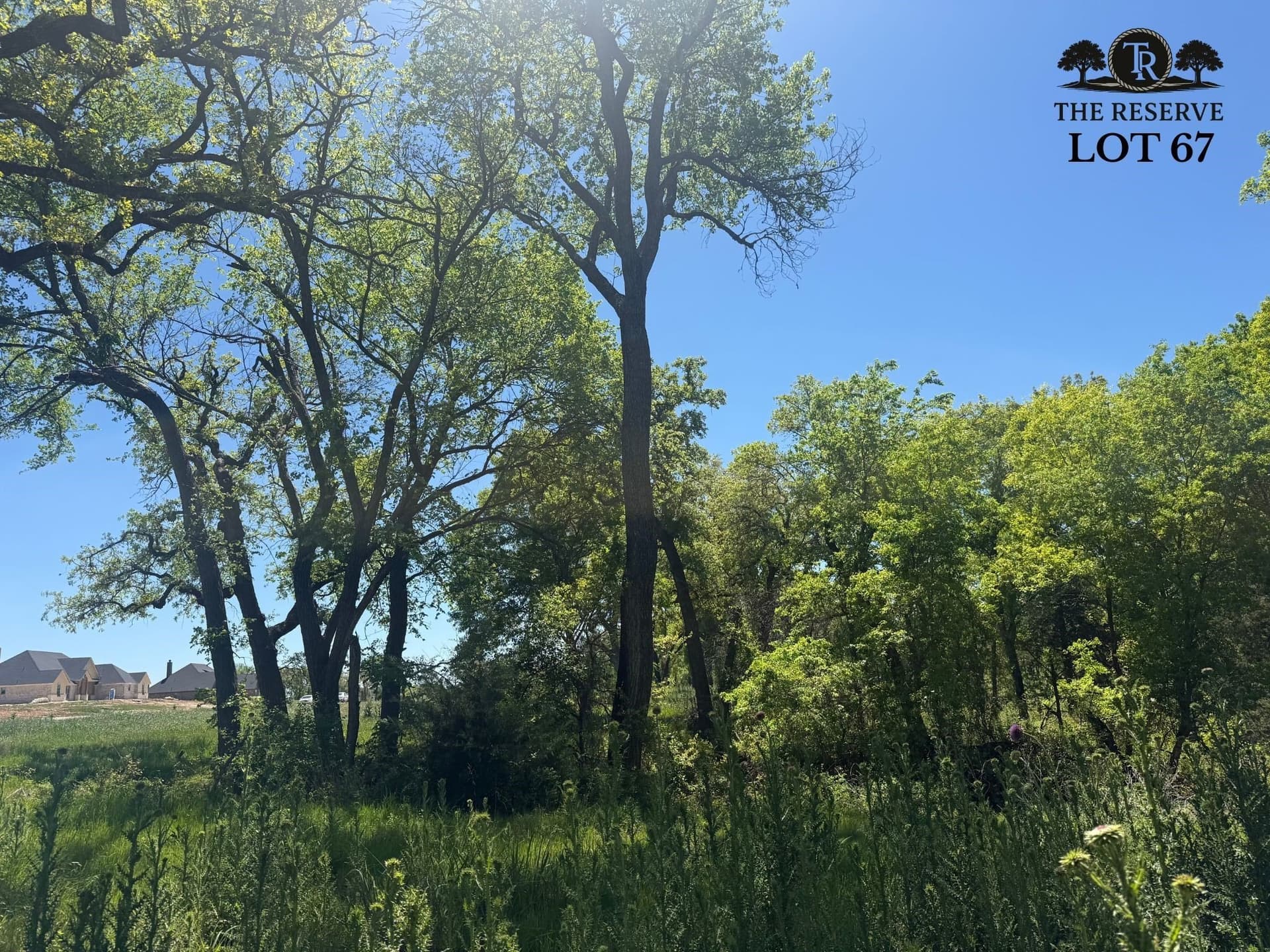 1.78 acres in Parker County gallery image 3