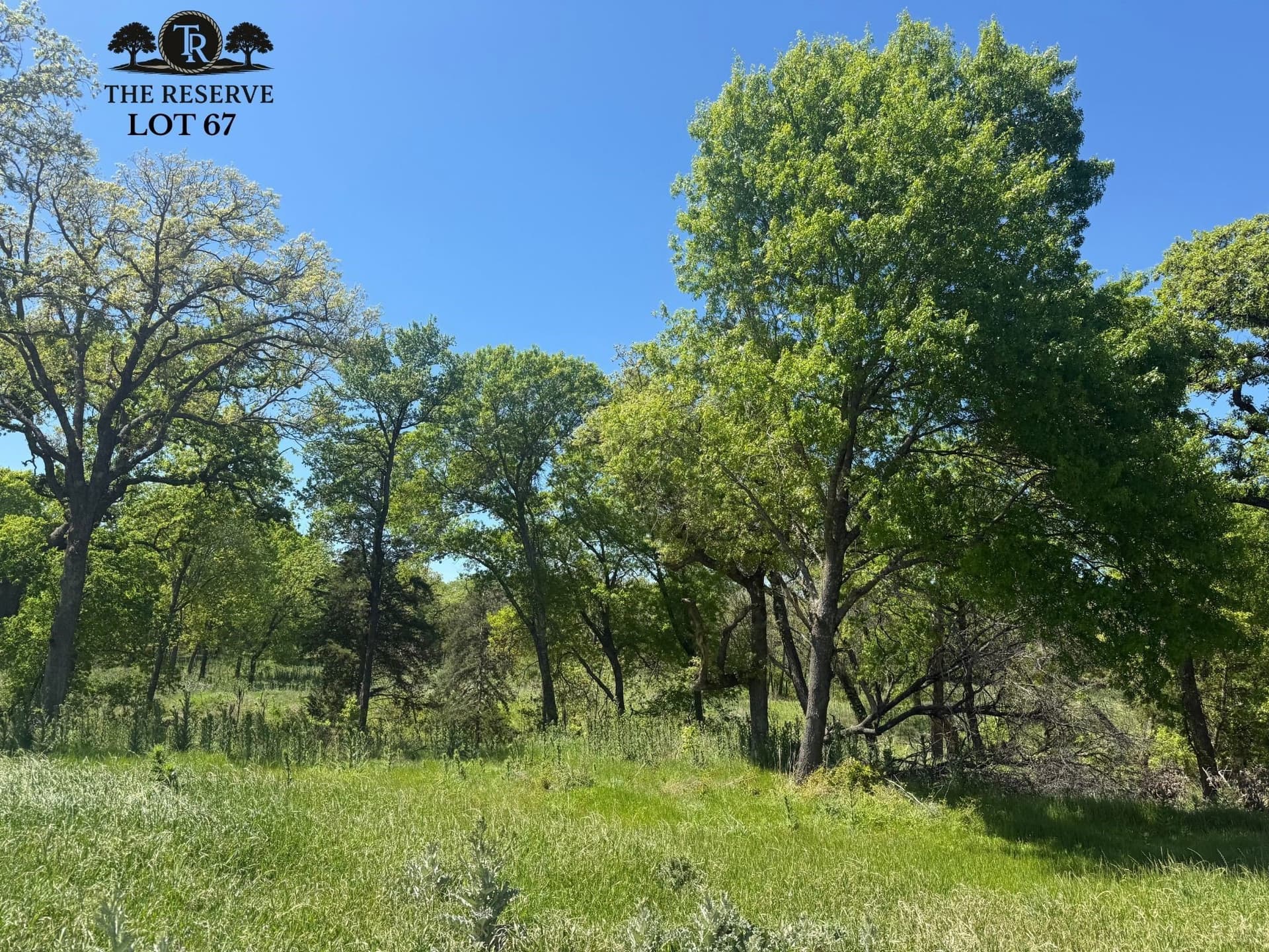 1.78 acres in Parker County gallery image 2