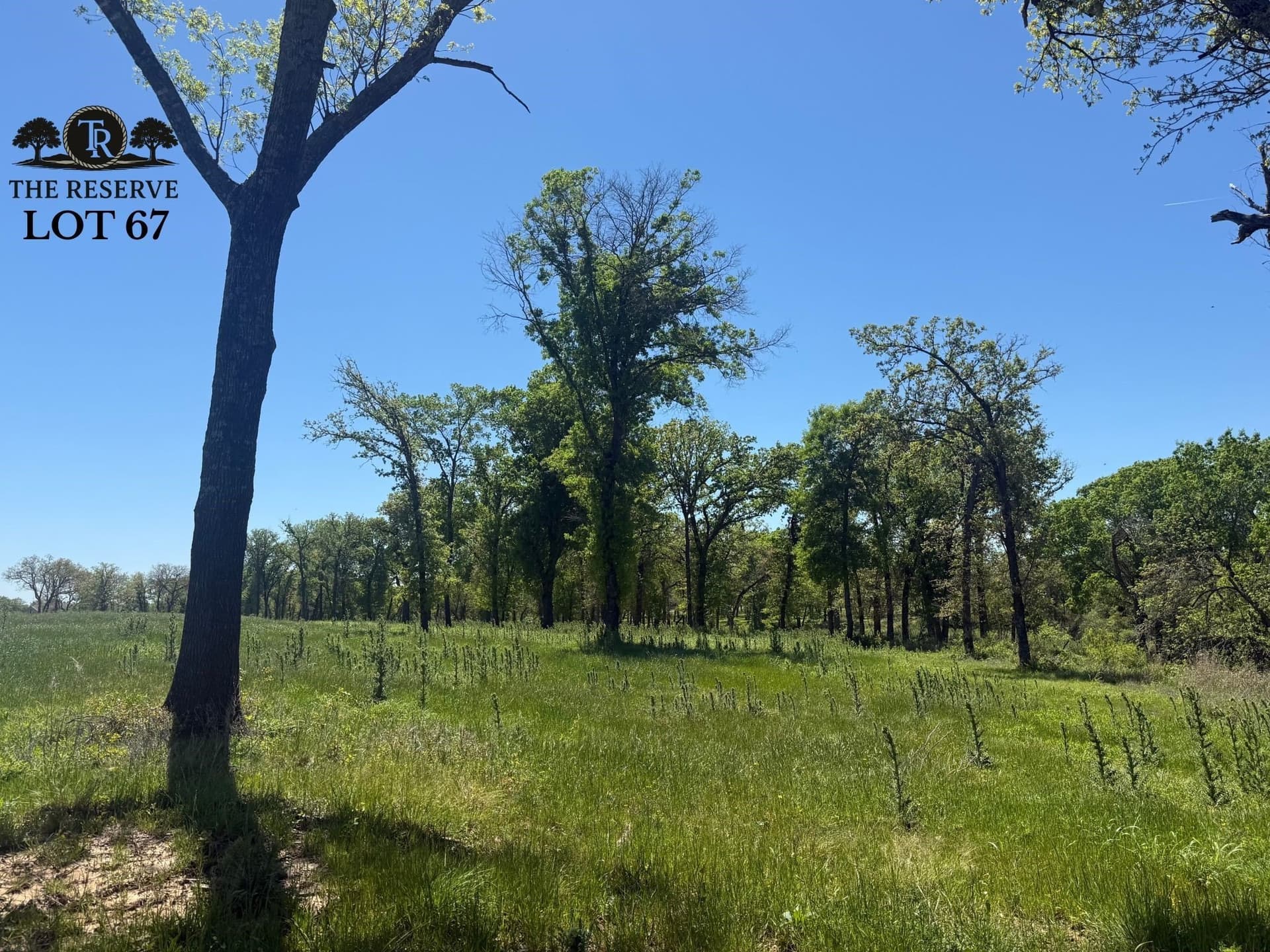1.78 acres in Parker County featured view
