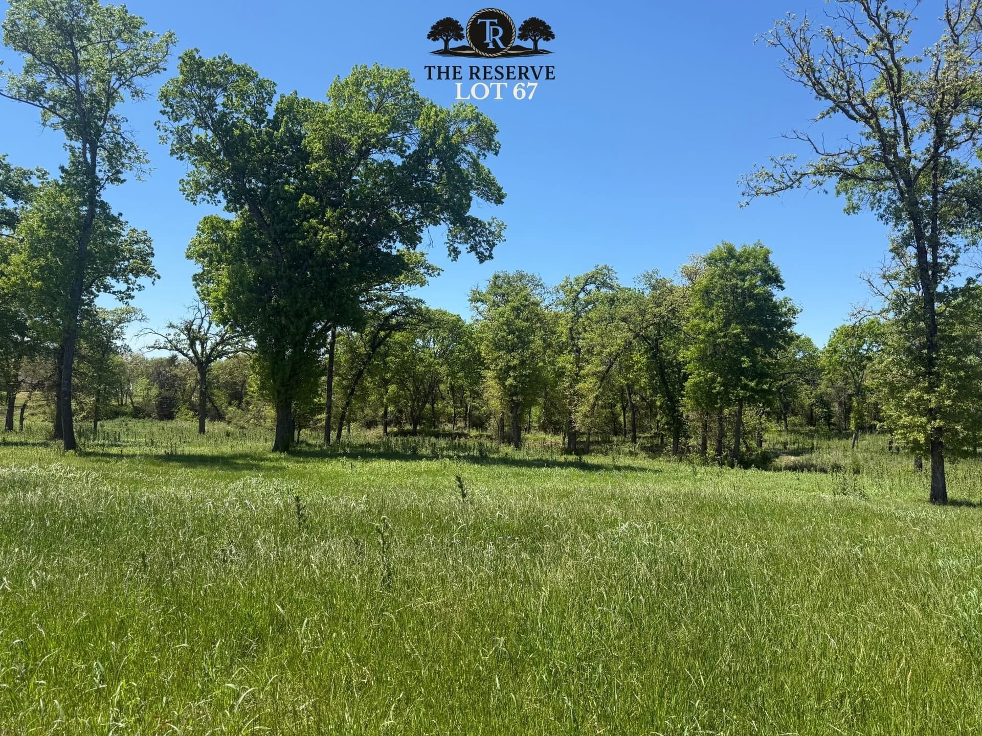 1.78 acres in Parker County gallery image 4