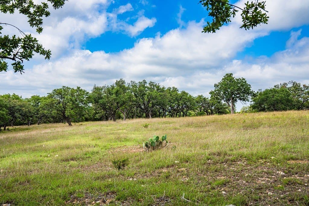 5.04 acres in Gillespie County - photo 12