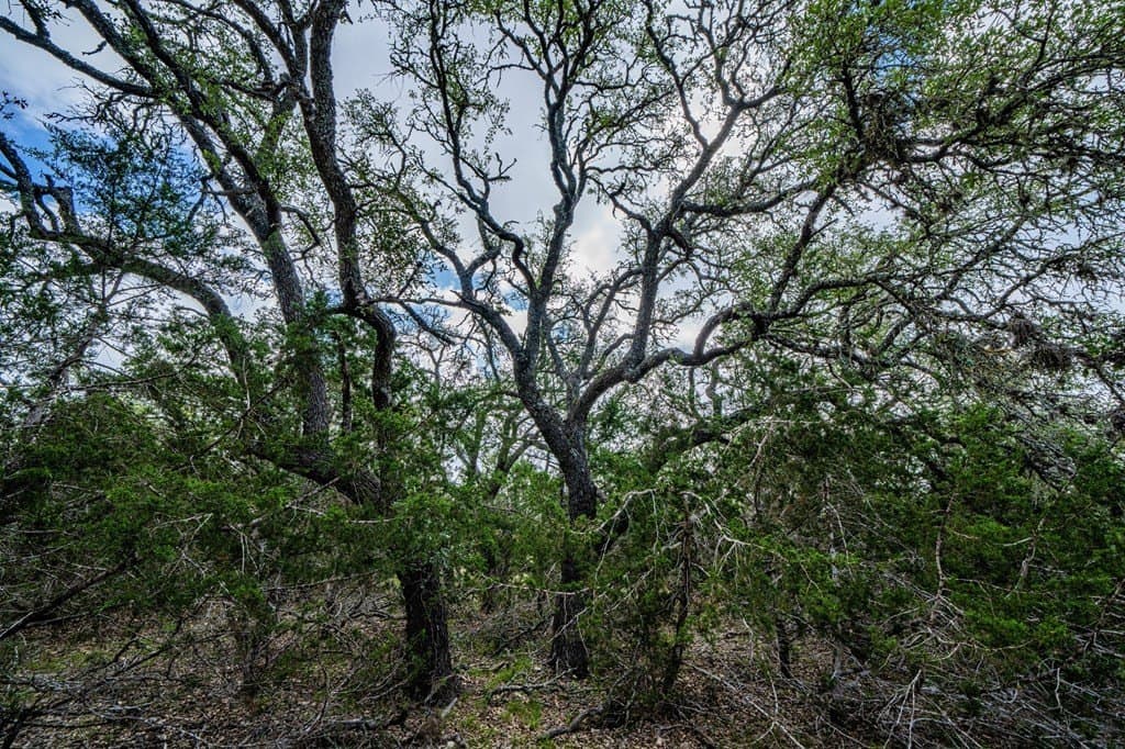 5.04 acres in Gillespie County - photo 21