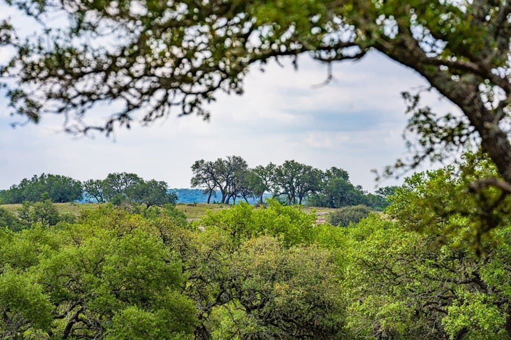 5.04 acres in Gillespie County - photo 24