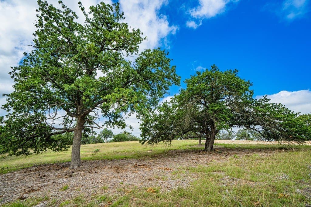 5.04 acres in Gillespie County - photo 11