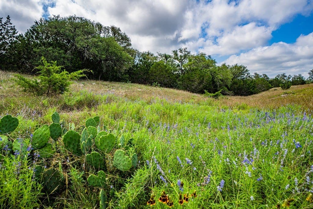 5.04 acres in Gillespie County - photo 19