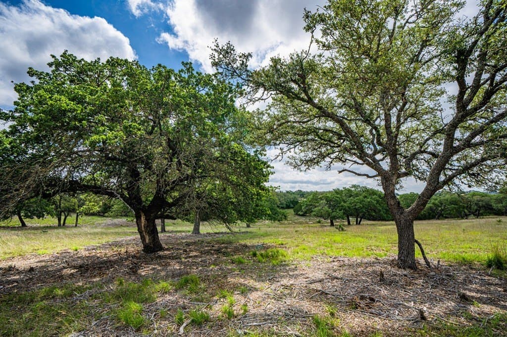 5.04 acres in Gillespie County - photo 23