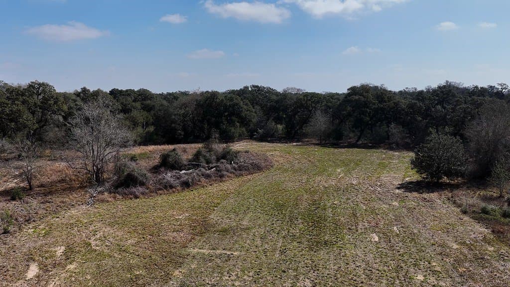306.03 acres in Wharton County gallery image 4