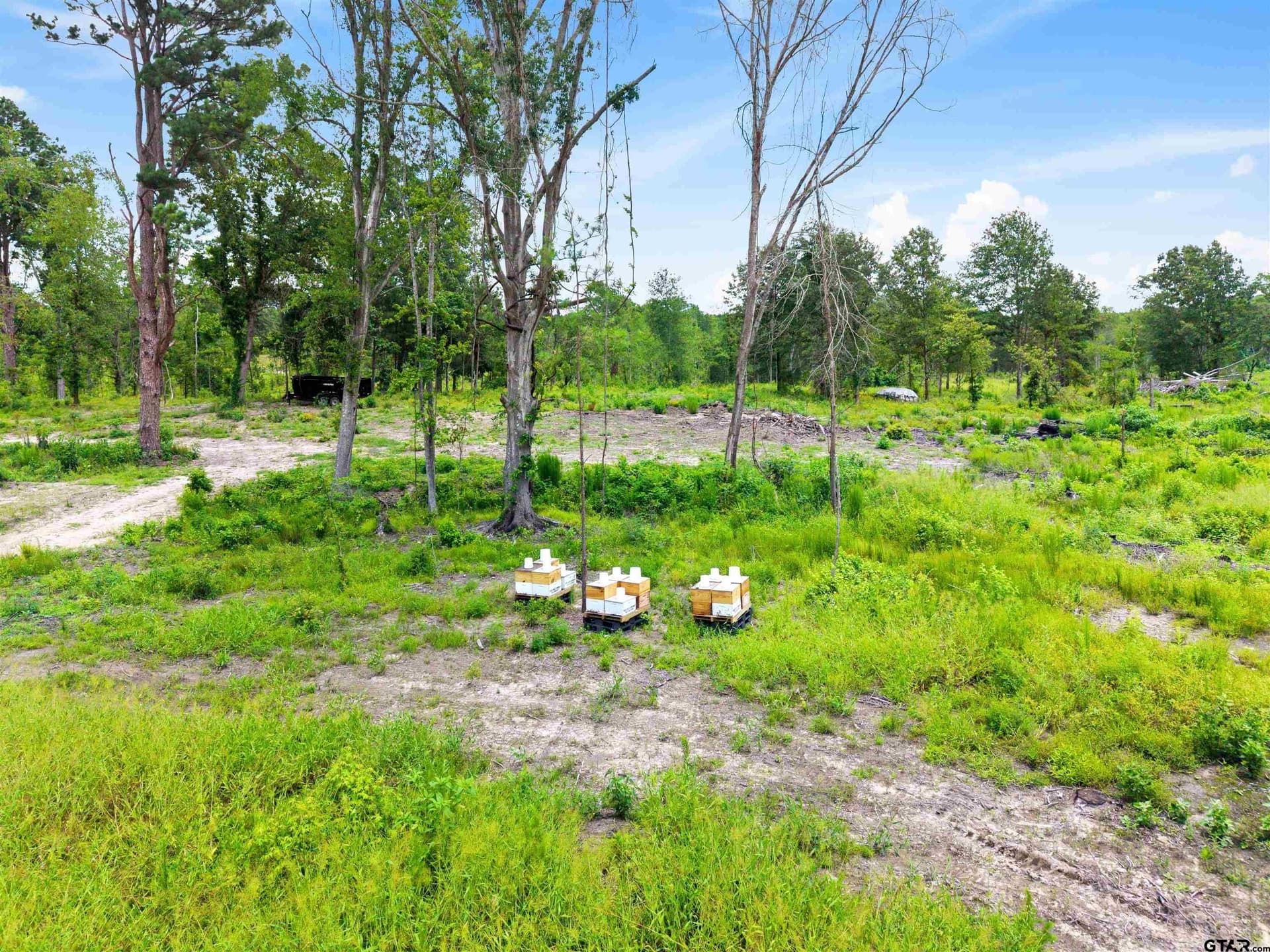 15 acres in Smith County - photo 7