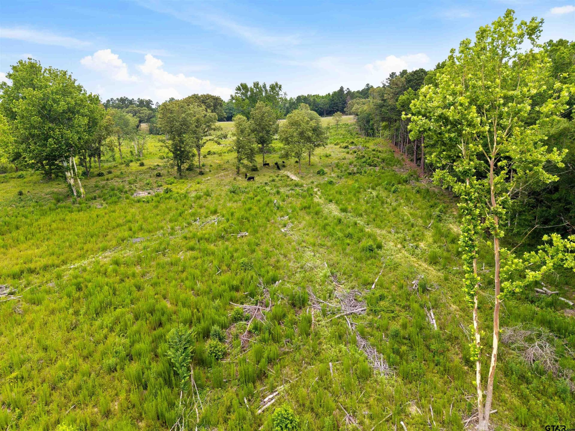 15 acres in Smith County - photo 15