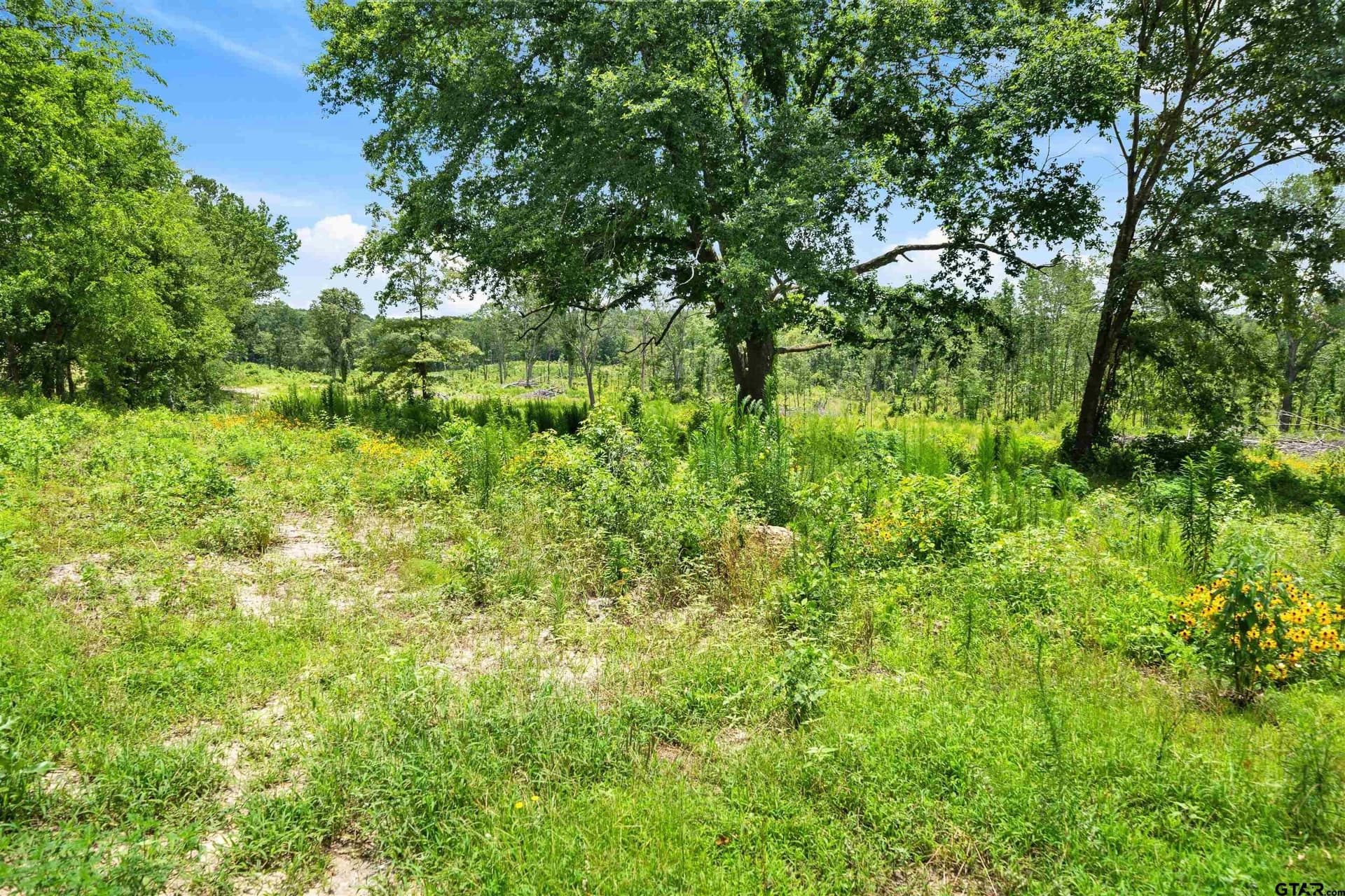 15 acres in Smith County - photo 3